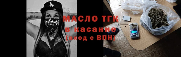 дмт Дмитровск