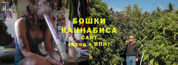 соль ск Дмитров