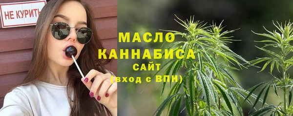 дмт Дмитровск