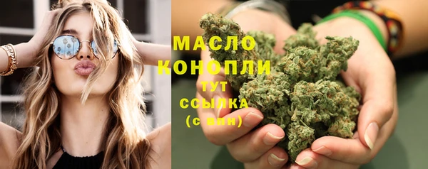 дмт Дмитровск