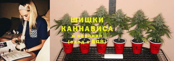 дмт Дмитровск