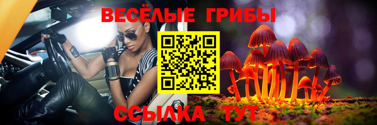 Курск  Псилоцибиновые грибы MAGIC MUSHROOMS  Вход с VPN  Псилоцибиновые грибы Psilocybe 